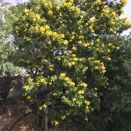 Panzió La Sergerie Le Lavandou